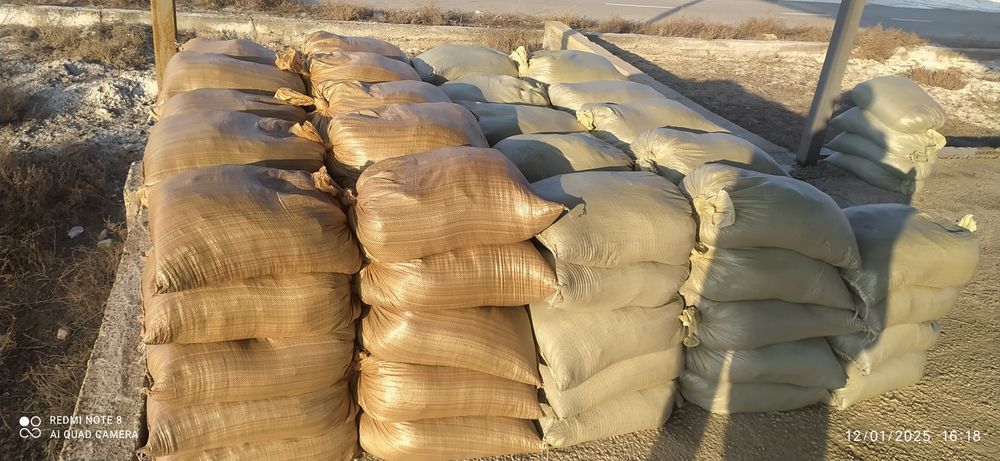 Biogomus optom narxda