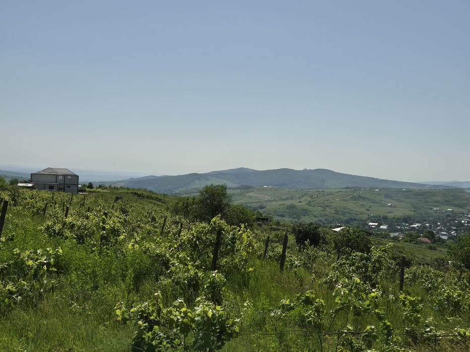 Teren intravilan Tomești-Goruni