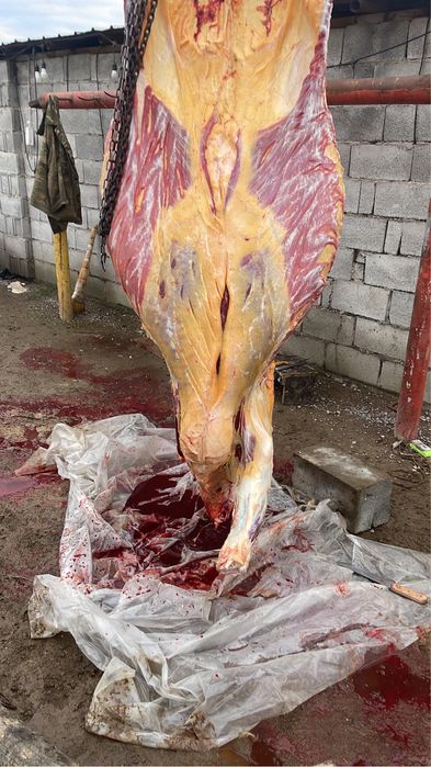 Мясо говядины Сиыр еті