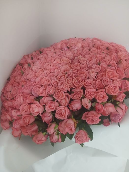 501роз срочно продам