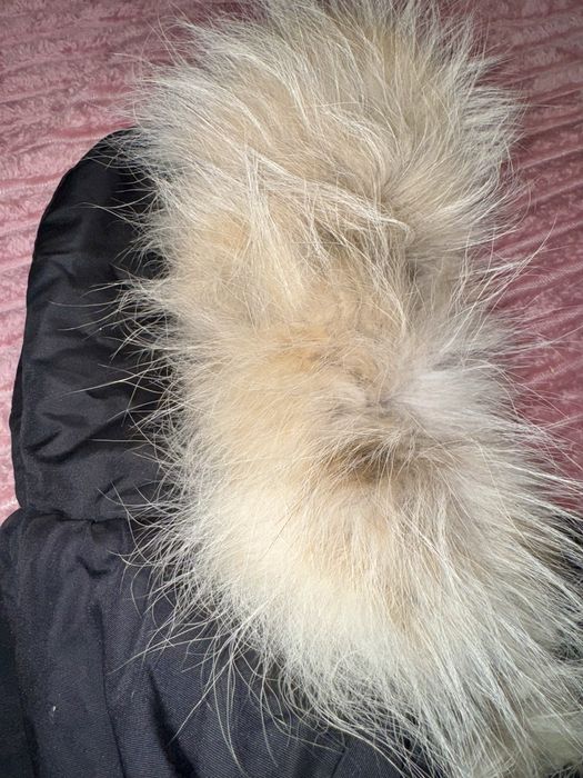 Яке с естествена кожа от Ракун, луксозно