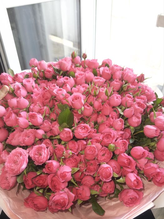 Продам цветы, бугин алдым кустовые розы