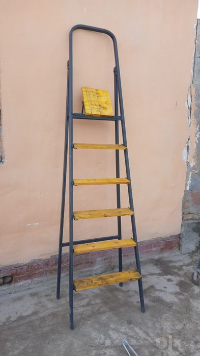 Strumenka lesa shoti