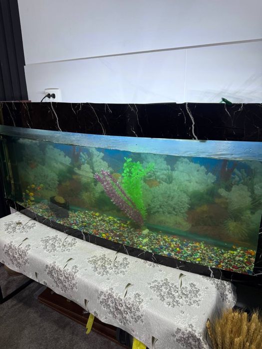 Akvarium sotiladi