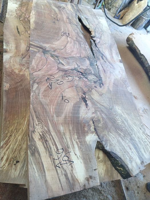 Blaturi mese deosebite