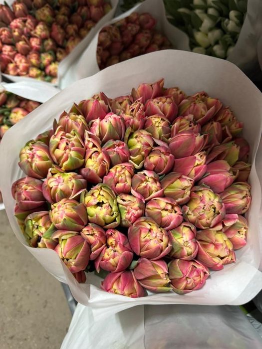 Тюльпаны оптом 8 марта