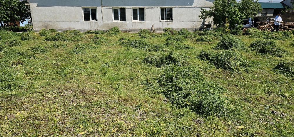 O‘t sotiladi tekinga