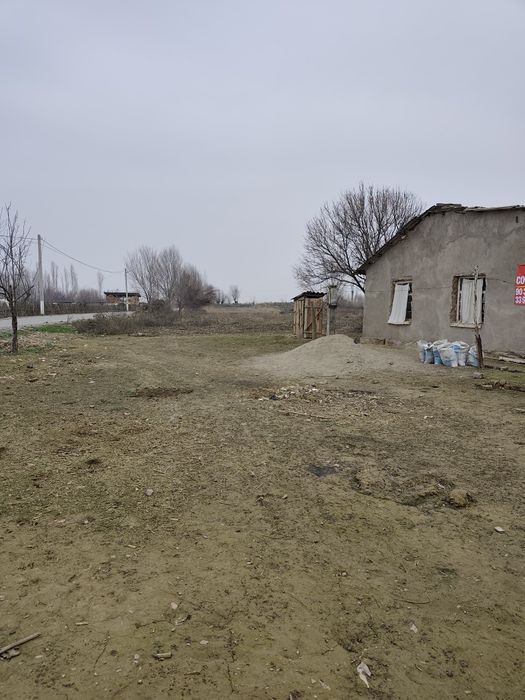 Тошкент вил, Бу́ка тумани, Бу́ка мфй, Худойкул кишлогида уй сотилади