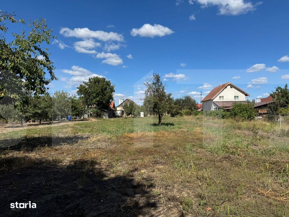 Casa veche cu teren generos in vatra veche Șag
