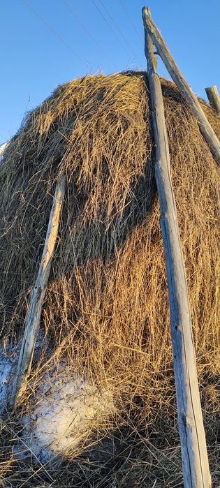 Продам сено, недорого