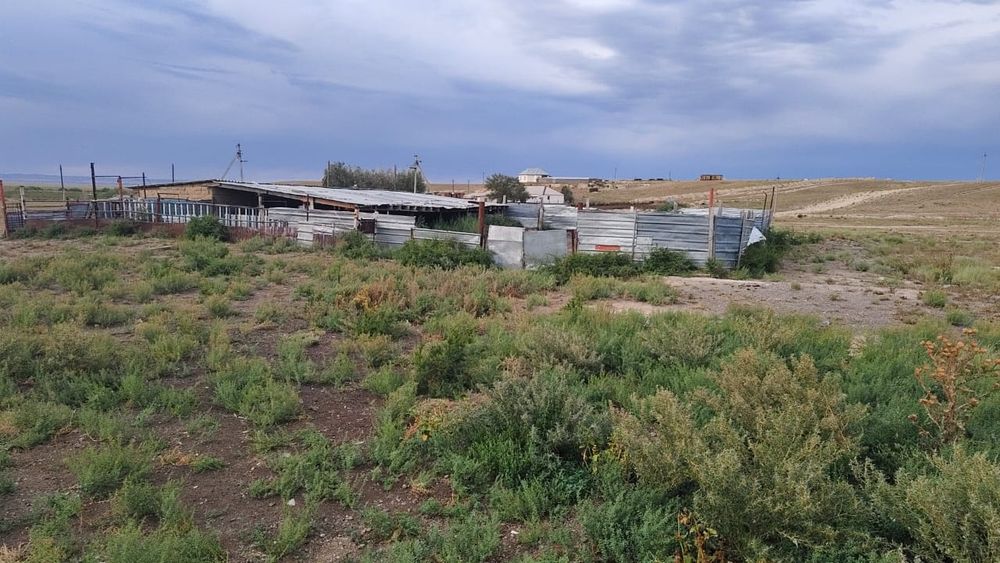 Кашар, Фазенда, Жер, 120гектар