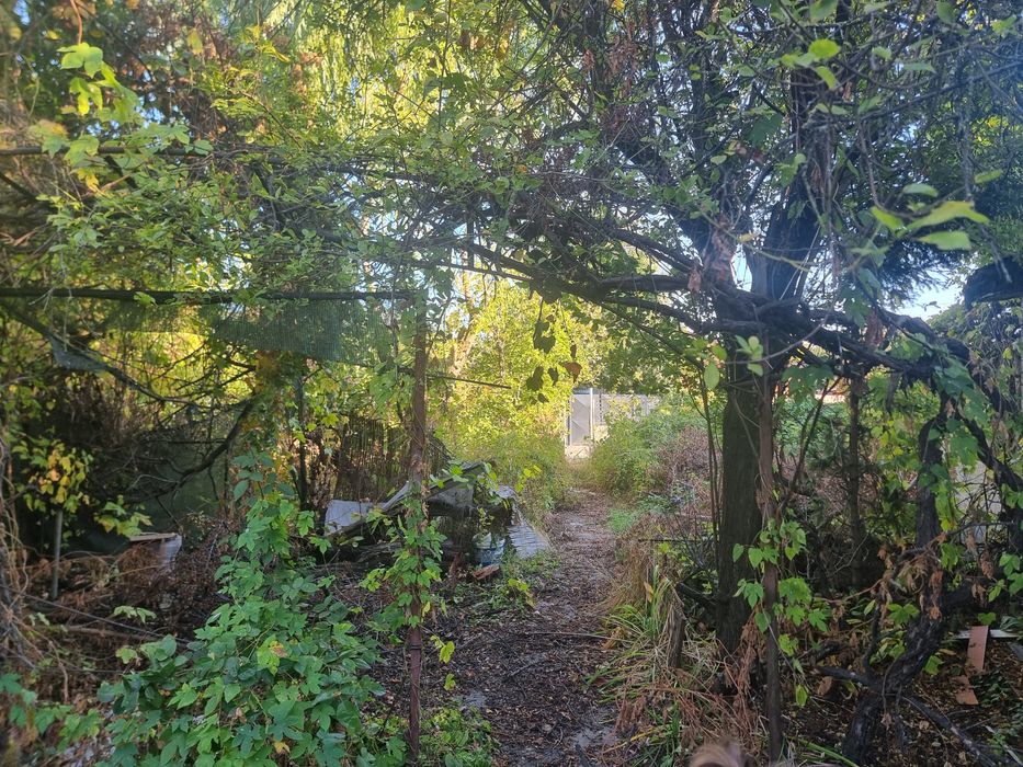 Teren de vânzare zona dotată