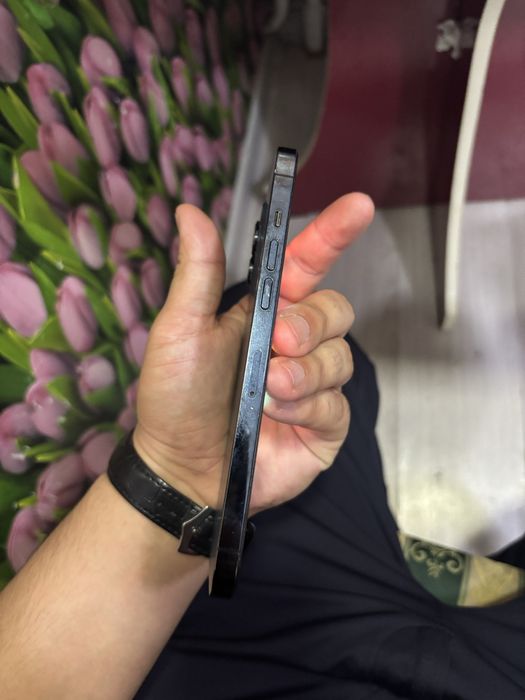 Iphone 12 pro max