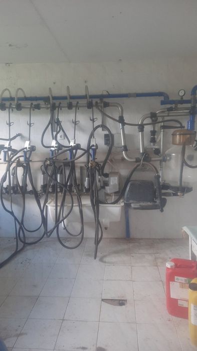 Продава се Промишлена сграда в с. Леново, Област Пловдив - 2000 кв.м за 125 €/кв.м - Снимка #2