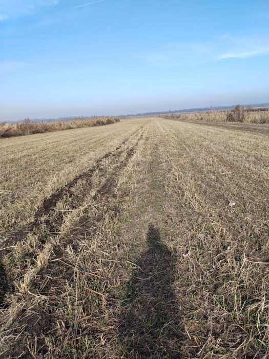 Продам землю К/Х