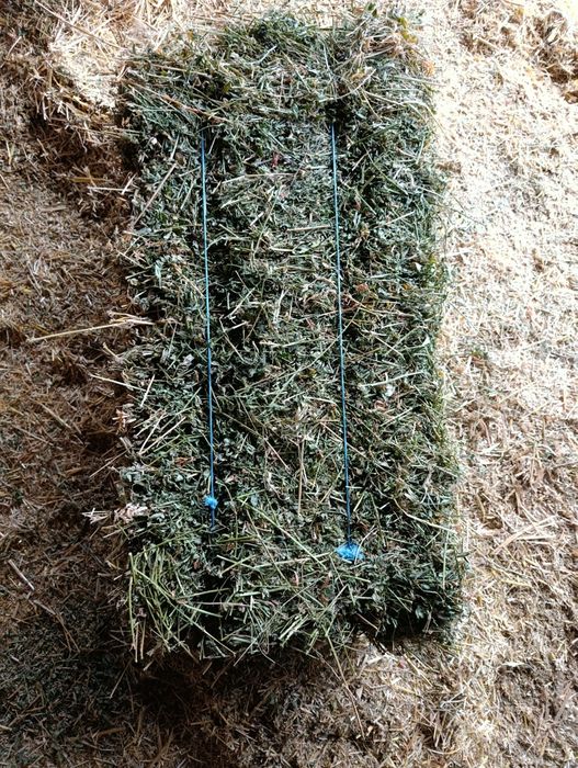 Баля люцерна   .