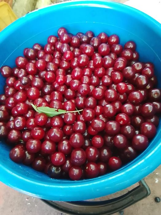 Продадим сладкую вишню