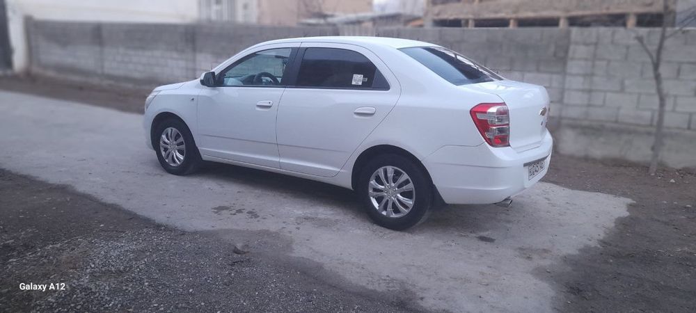 Sirochni. Kobalt sotiladi