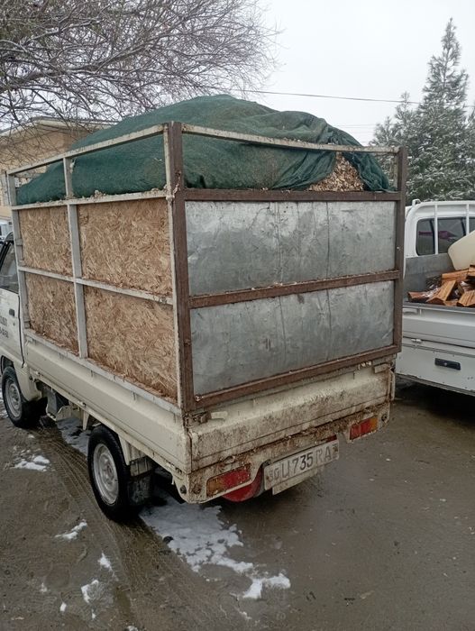 Chanoq bor kelishgan narxda