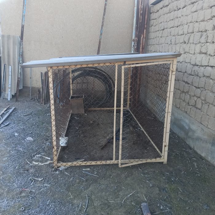 Тауыққана 10-15 тауық бағуға