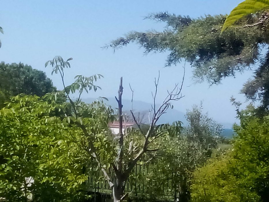 Дава под наем  озаведено бунгало до брега в Карияни-2500 евро/годишно.