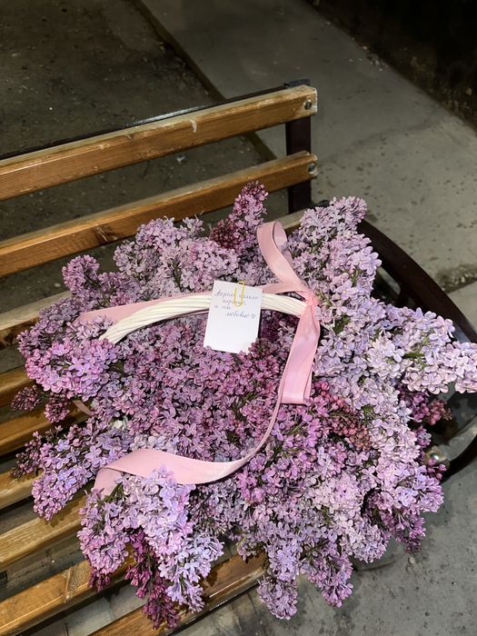 Сирень г актобе свежие