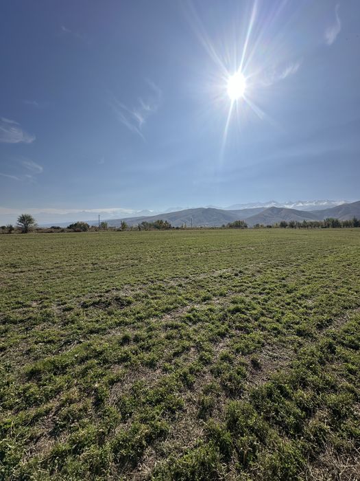 Продам участок 7.4 сотки в СНТ