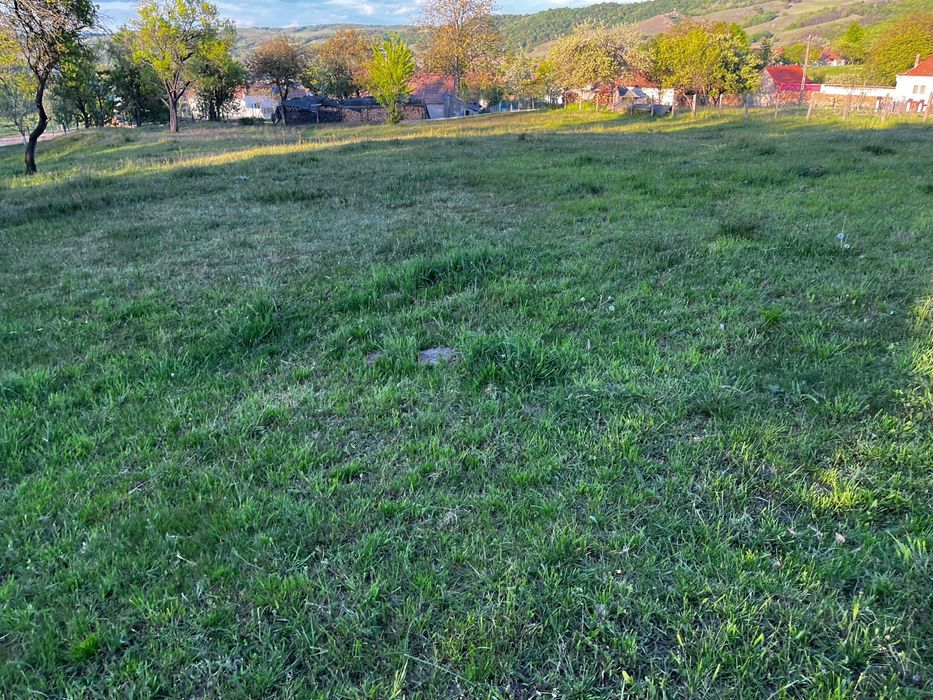 Vand teren extravilan Pianu de Sus