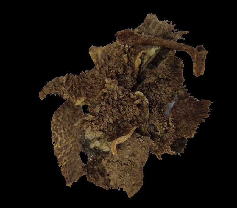 Лакомство для собак