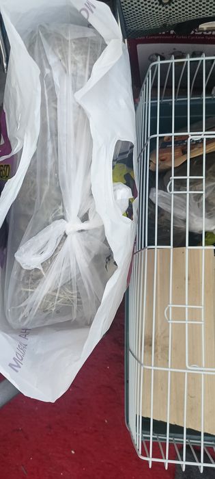 Клетка для морской свинки и прлчее