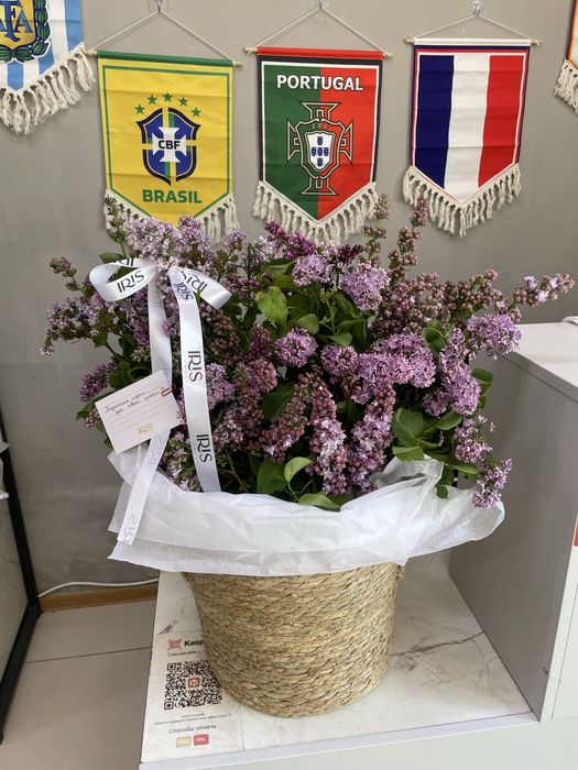 Сирень свежий гул