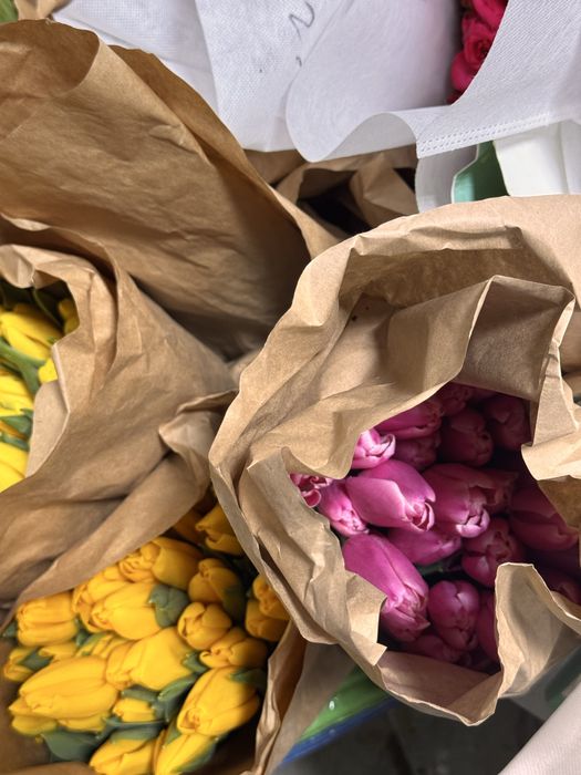 Тюльпаны премиальные