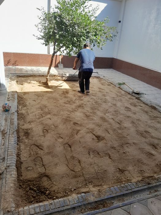 Газон ландшафт палиф 13000