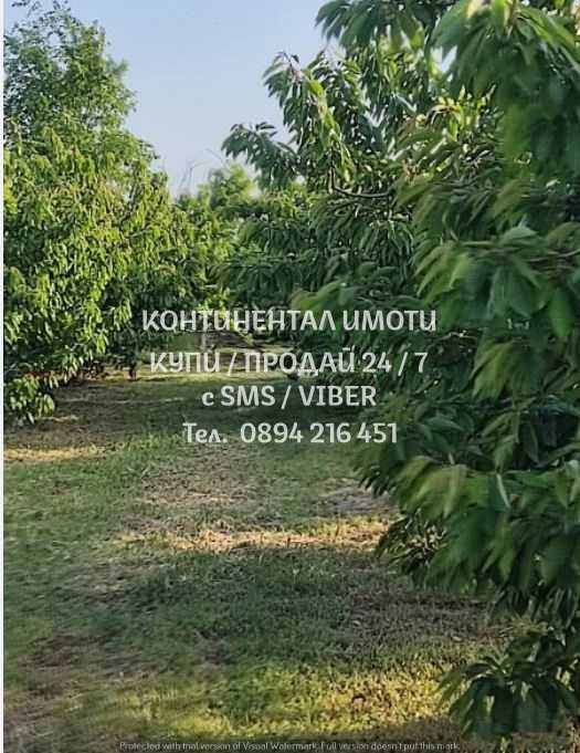 Продава се Земеделски имот в с. Цалапица, Област Пловдив -  кв.м за 4250 €/дка - Снимка #3