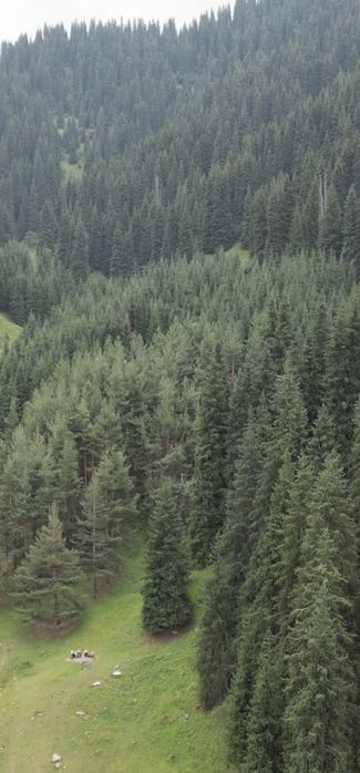 Съемка с дрона FPV (динамично)