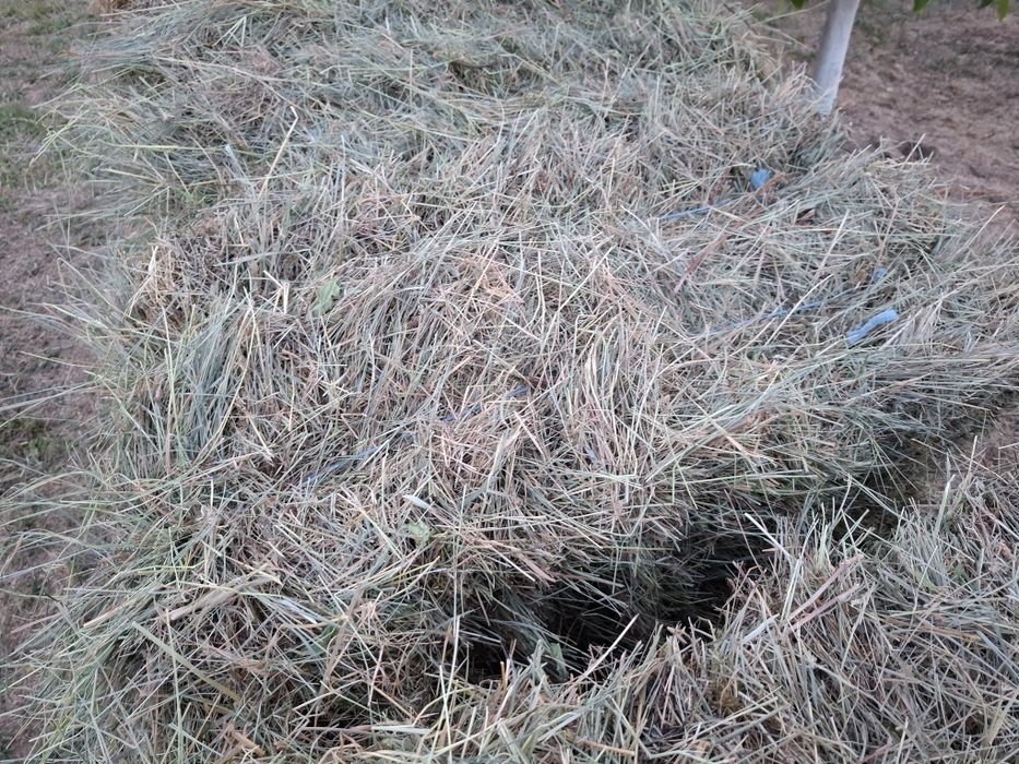 Baloti dreptunghiulari otava de livadă