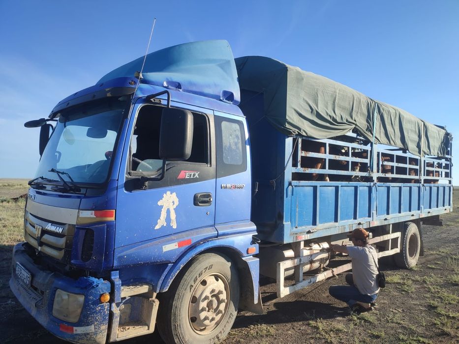 Продается Foton Auman