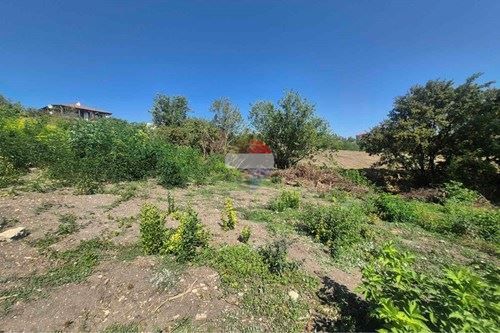 Парцел в регулация в с. Калиманци, обл.Варна Т4932