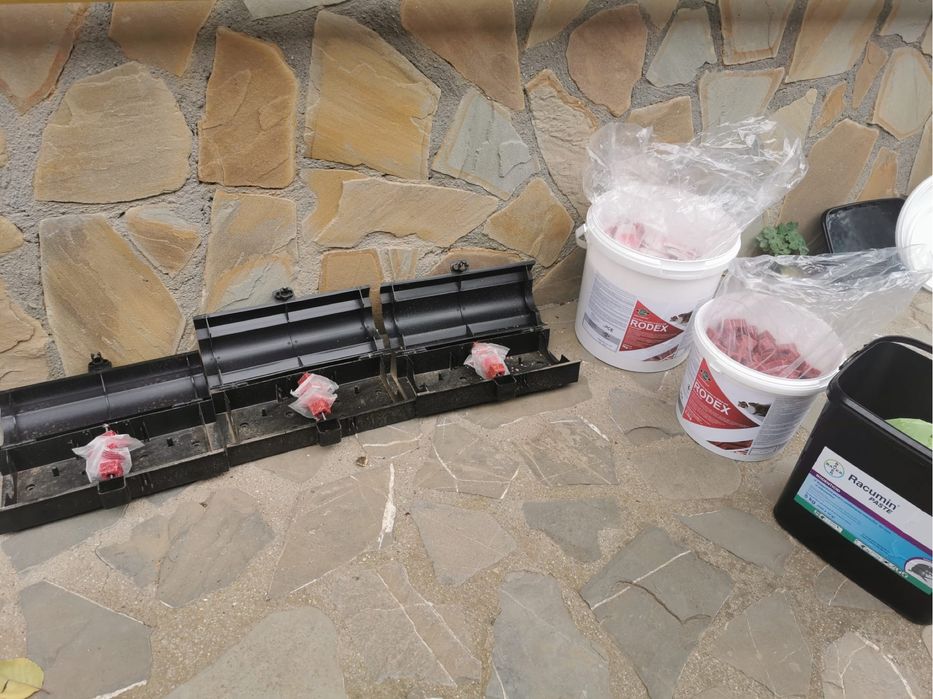 Servicii Dezinsecție, Dezinfecție și Deratizare