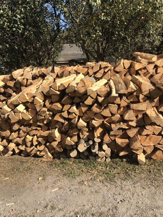 Lemne de foc (fag ,carpen , stejar)