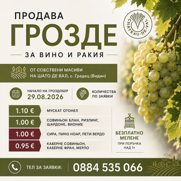 Продаваме грозде за вино и ракия в района на Видин