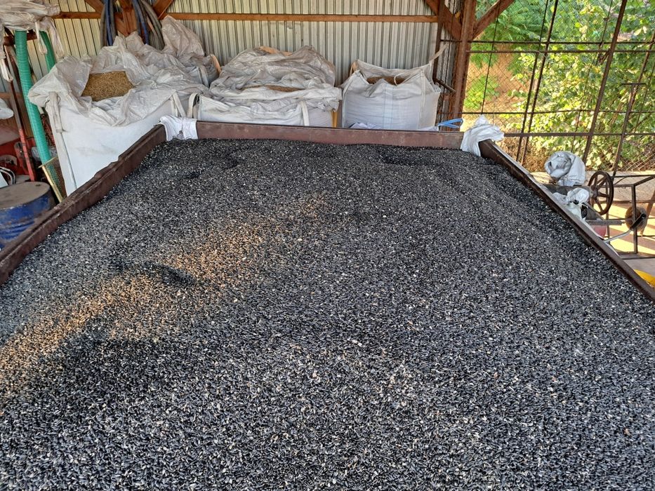 Porumb boabe , grau , floarea soarelui