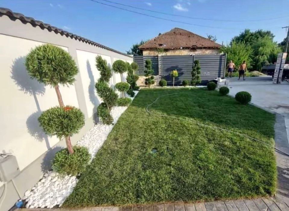 Gazon rulou sport -vând și montez
