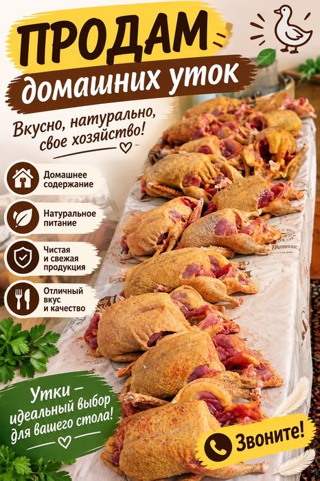 Продам уточек домашних