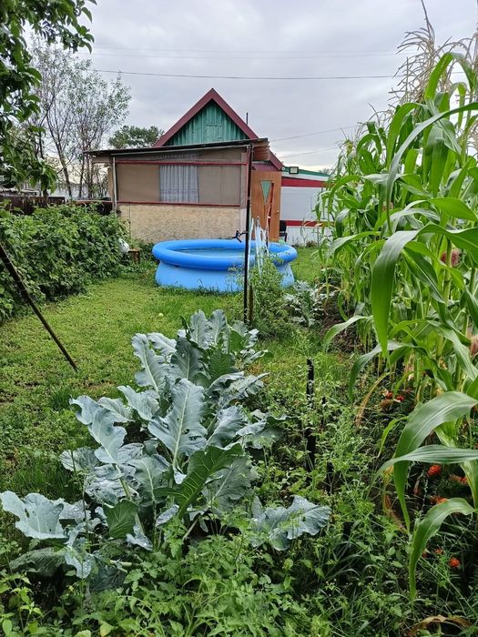 Продам дачу сад Реченька