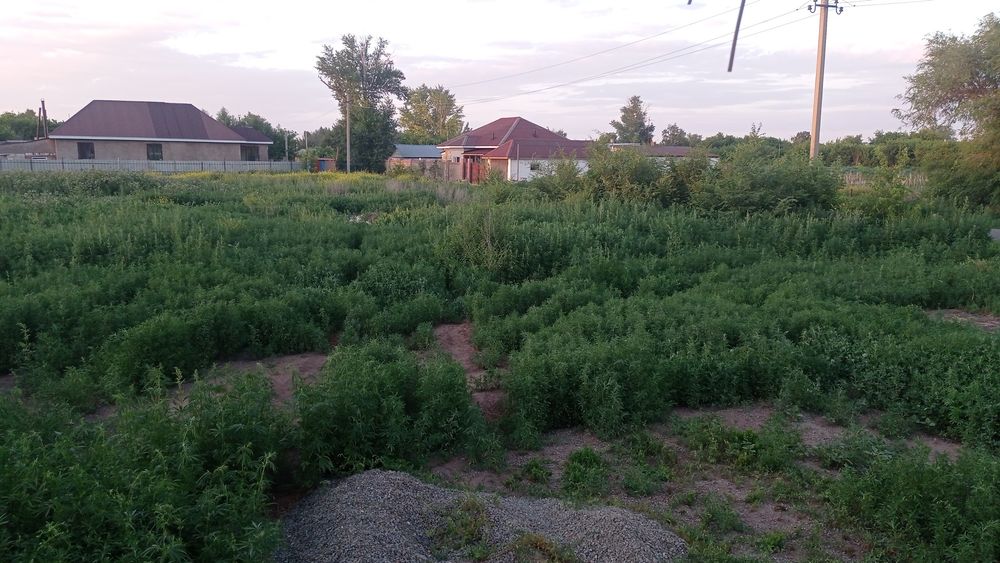 Земельный участок под ИЖС