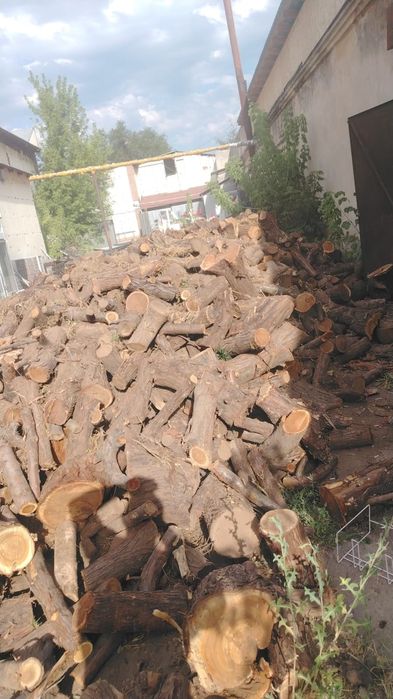 Продам дрова жигида