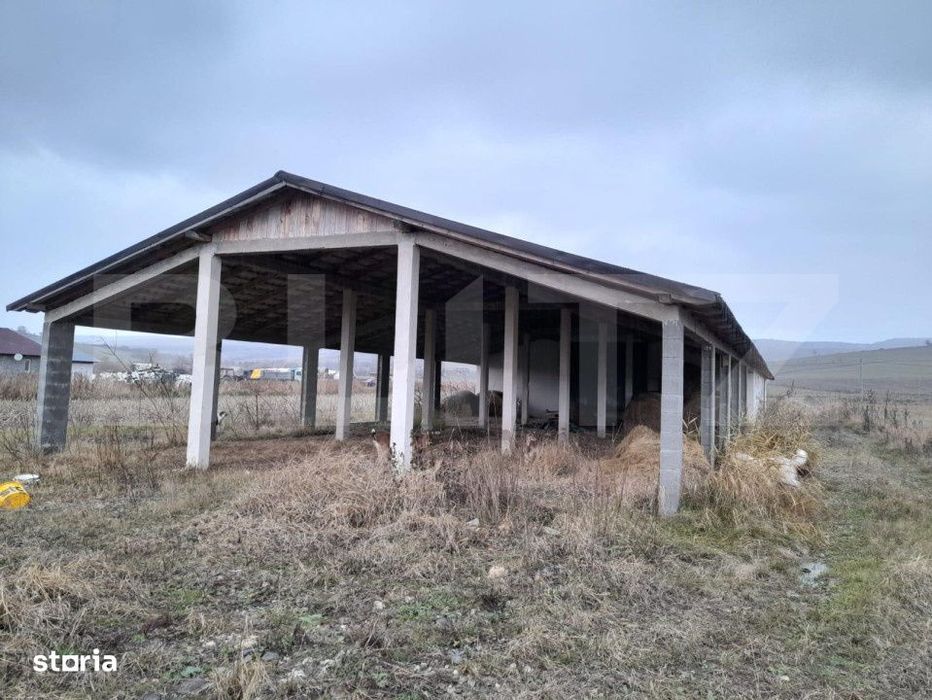 Casa individuala,180mp, 5000 mp teren plus Hala 550mp.CEPARI