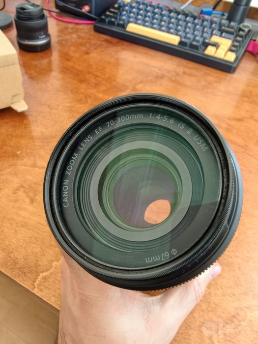 Canon EF 70-300mm 1:4-5.6 IS II USM