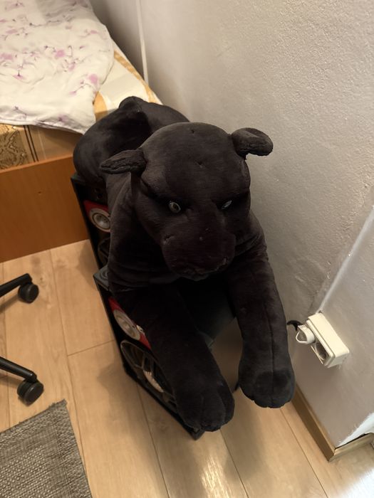 Vand Pantera pentru copii